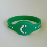 WristCoin Cashless NFC Payment Solution - Demo Wristband